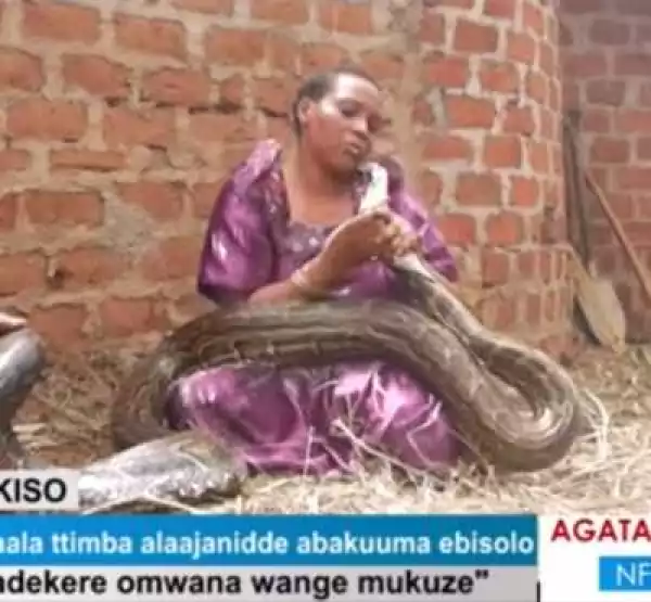 Video+ Photos: Please Don’t Take My Child: Woman Who Gave Birth To Python Pleads To Wildlife Officials